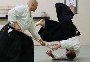 bushido martial art aikido